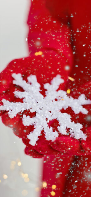 Snow Flake