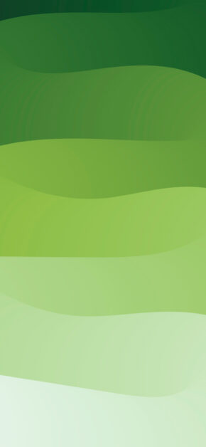 Shades of Green