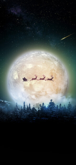 Superb Christmas