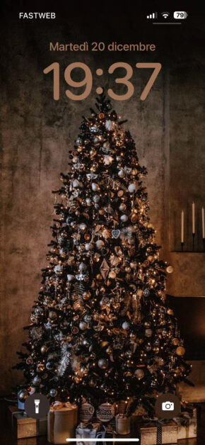 Oh Christmas Tree
