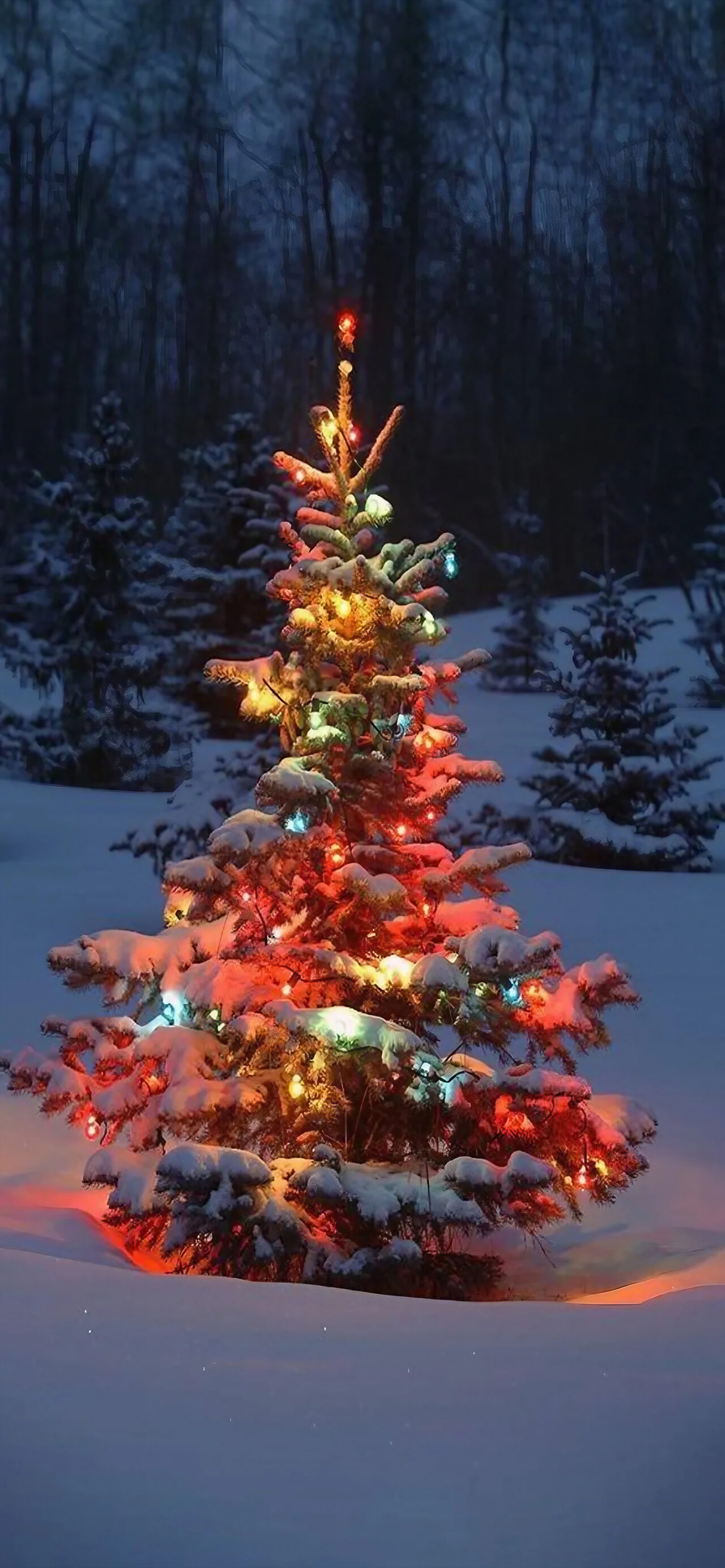 Christmas Tree in the Snow - Wallpapers Central