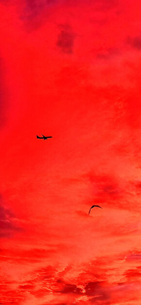 Valencia (Spain) Sunset