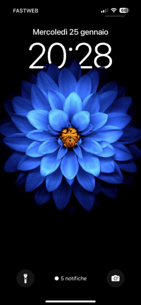 Blue Flower | Depth Effect