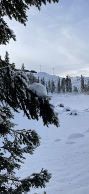 Carezza Invernale