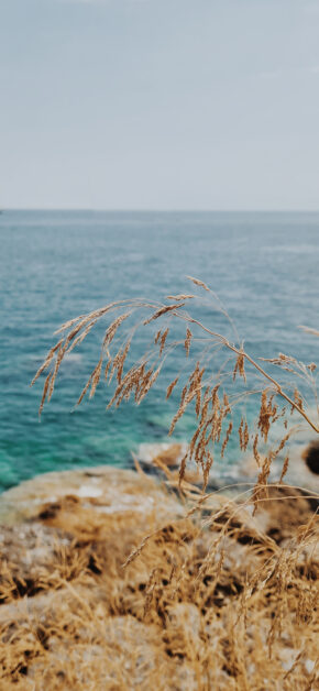 Paesaggio Marino