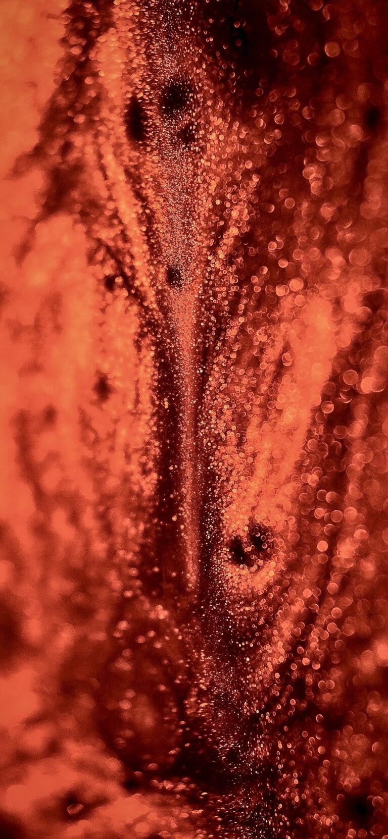 Default wallpaper of Magma