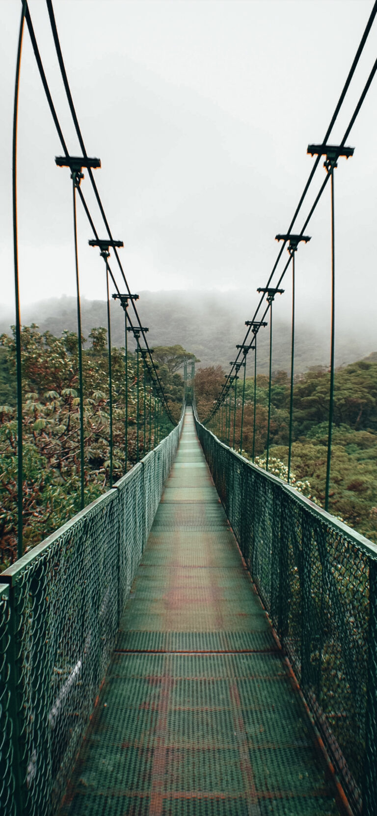 Default wallpaper of Cloud Bridge