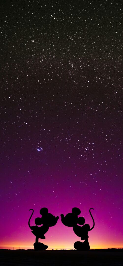 Micky Mouse and Minnie | Valentine's Day