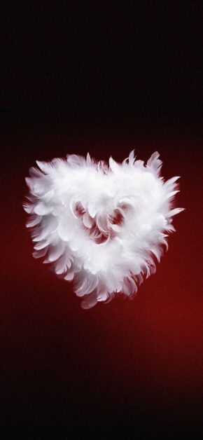 Light Heart | Valentine’s Day