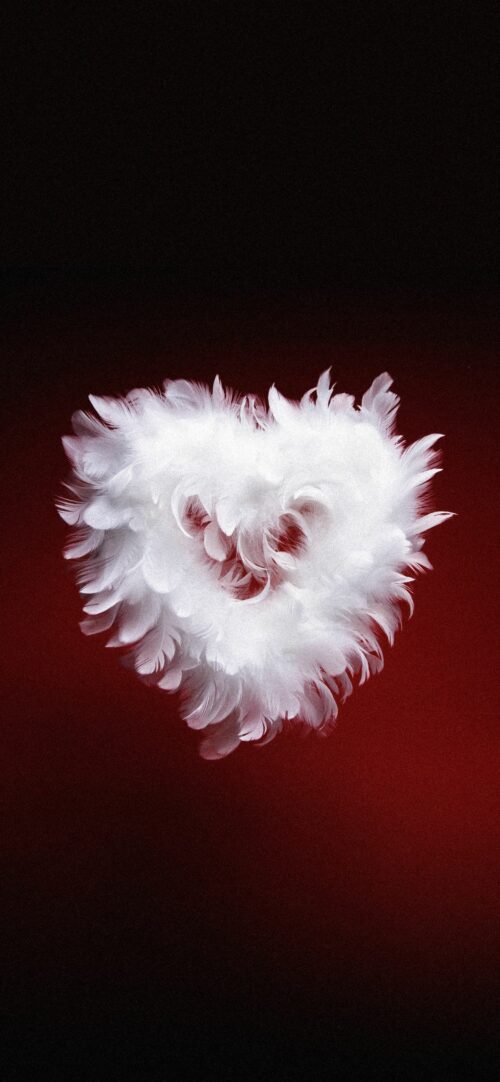 Light Heart | Valentine's Day