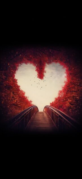 Heart Tunnel | Valentine’s Day