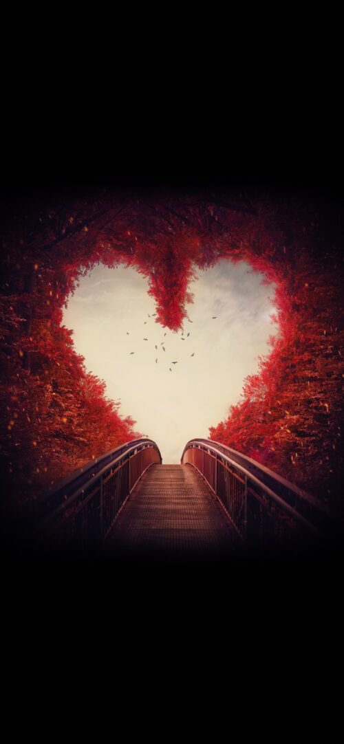 Heart Tunnel | Valentine's Day