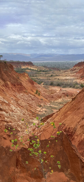 Madagascar