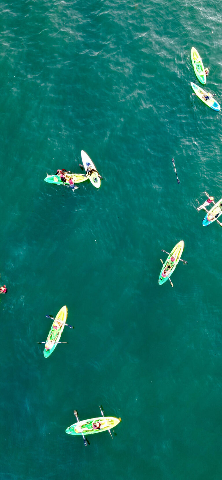 Default wallpaper of Floating Kayak (San Diego)