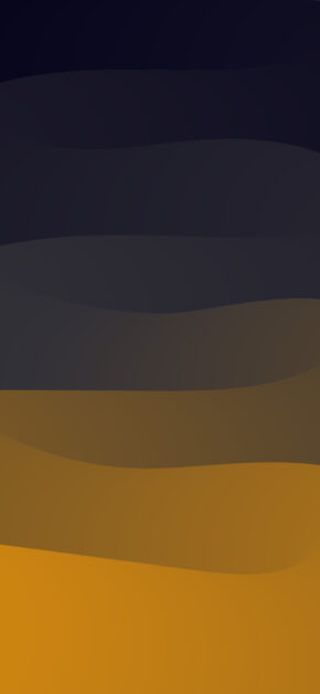 Black & Gold | Curves