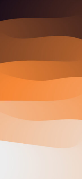 Mocha | Curves