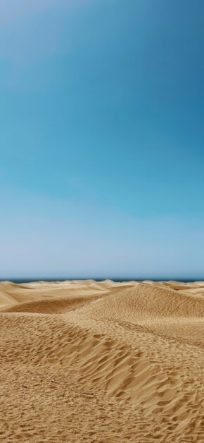 Mas Palomas Dunes