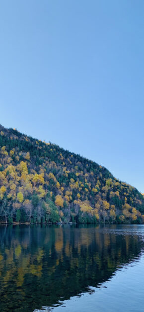 Upstate