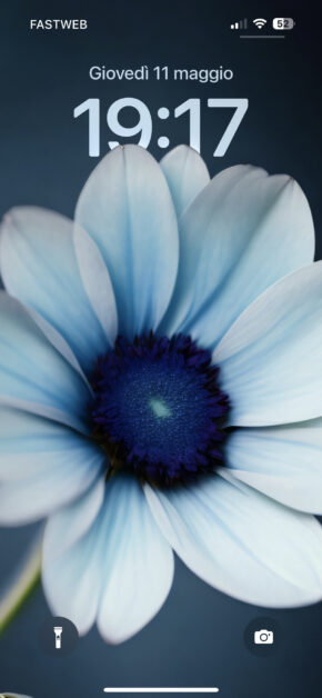 Blue Flower | Depth Effect (Free)