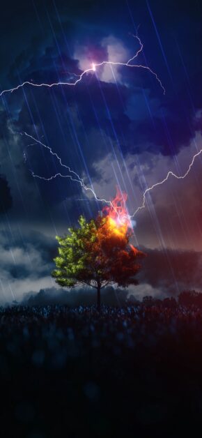 Thunder