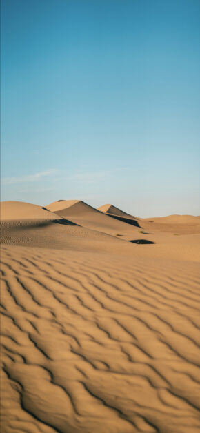 Desert Breeze