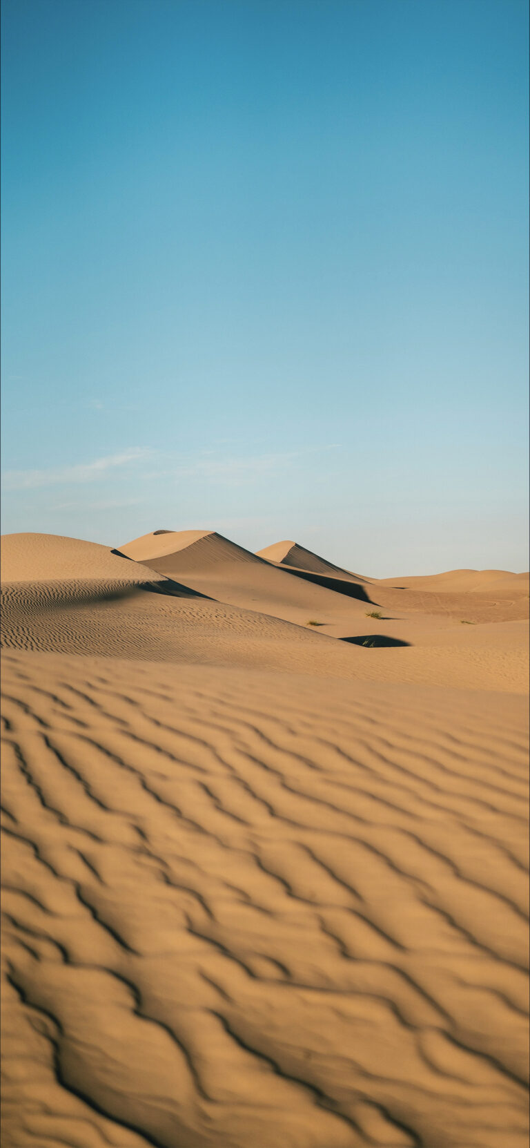 Default wallpaper of Desert Breeze