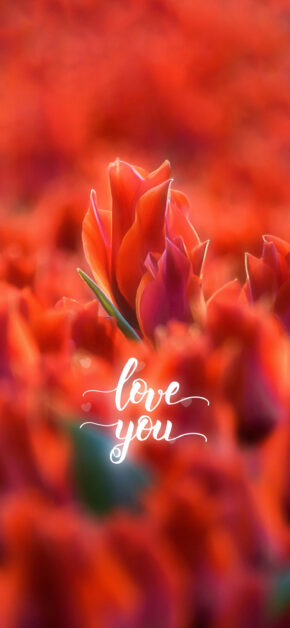 Love you