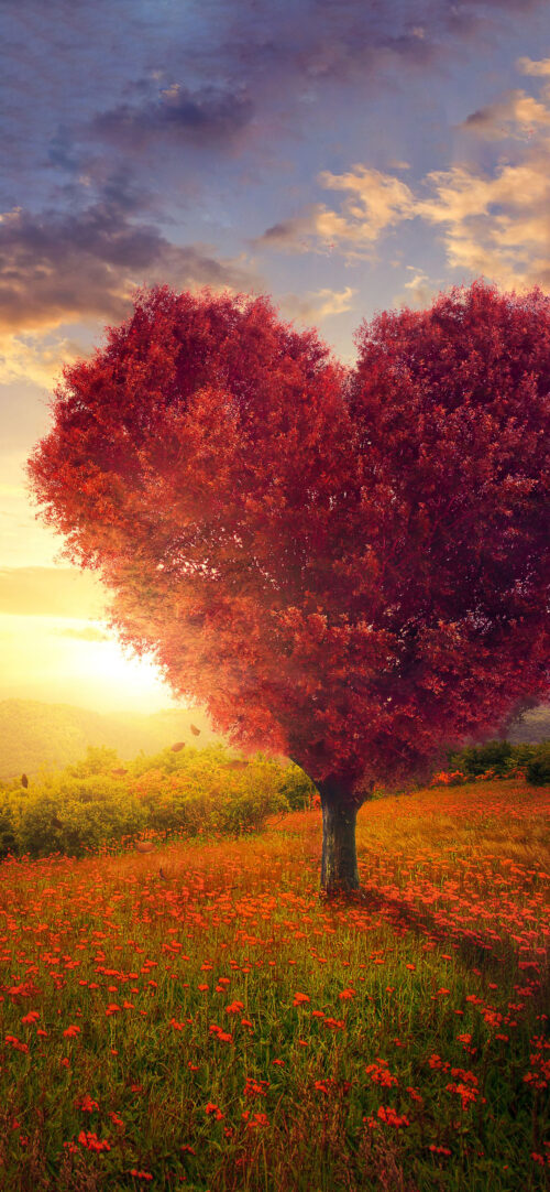 Heart Tree