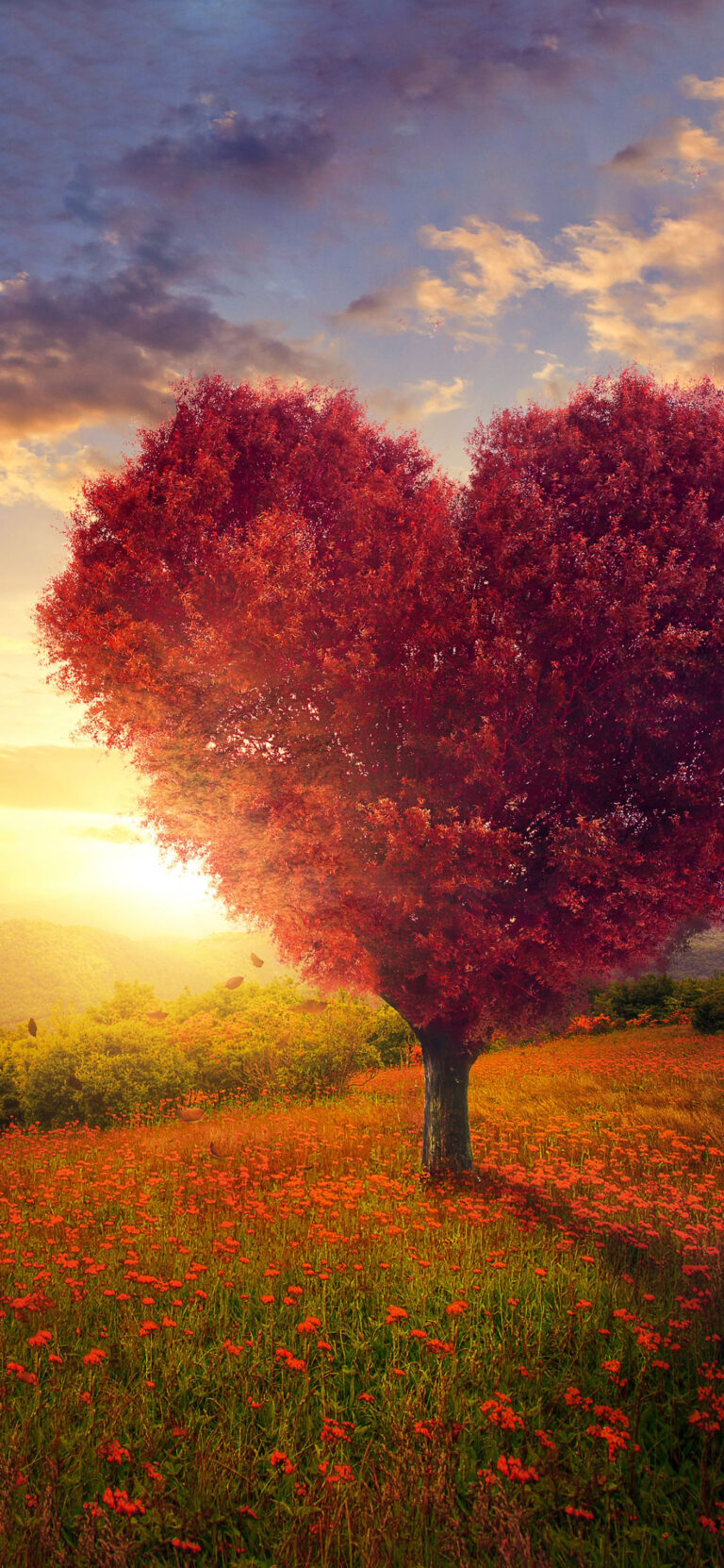 Default wallpaper of Heart Tree