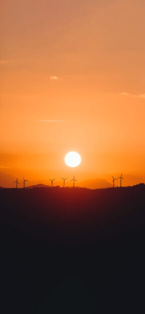 Orange Sunset
