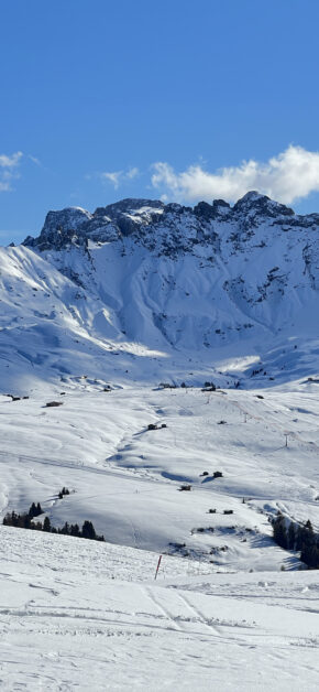 Mountains