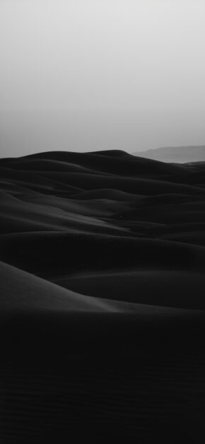 Black Desert