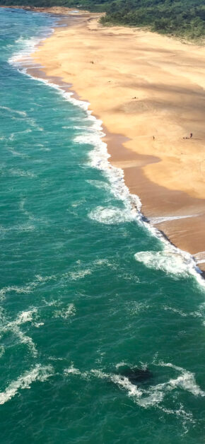 Sea and Beach