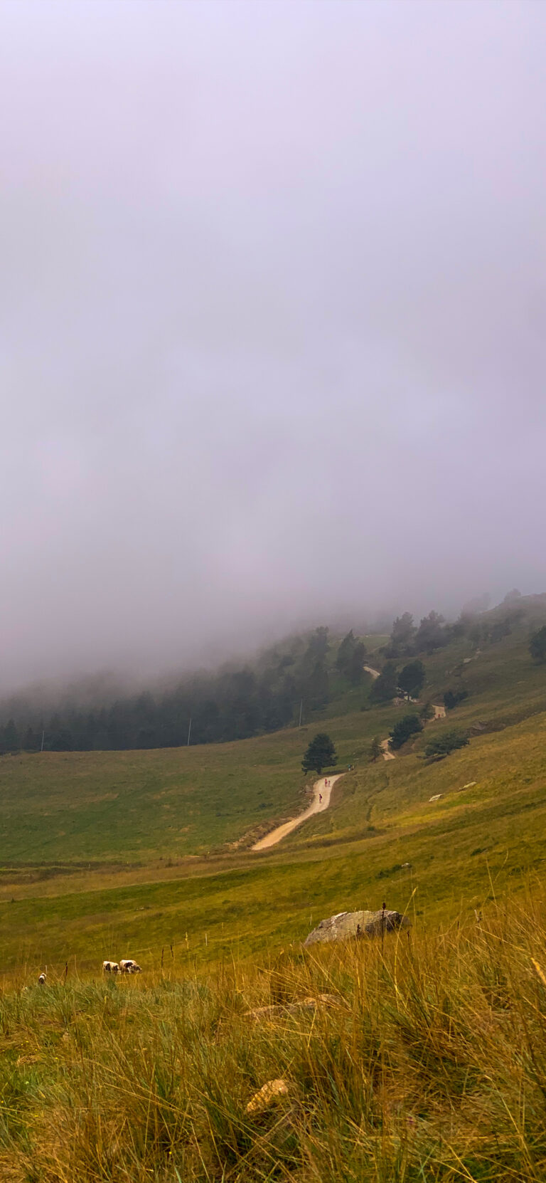 Default wallpaper of Colle Lazzarà