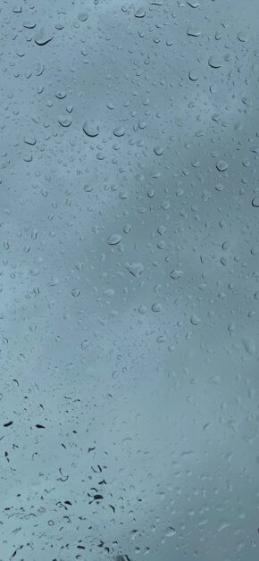 Rain Drops