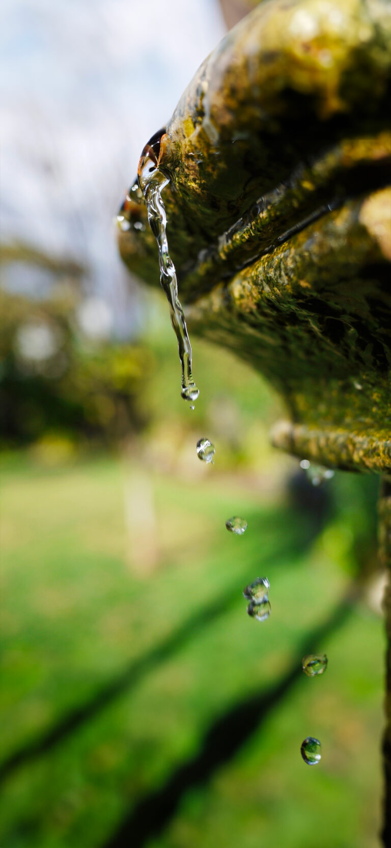 Default wallpaper of Drops Bokeh | Macro