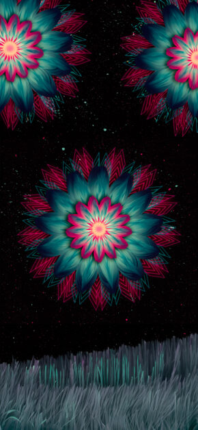 Flower Full