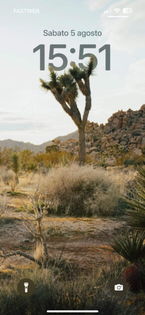 Joshua Tree National Park | Depth Effect