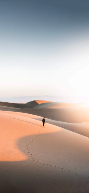 Walking in the desert