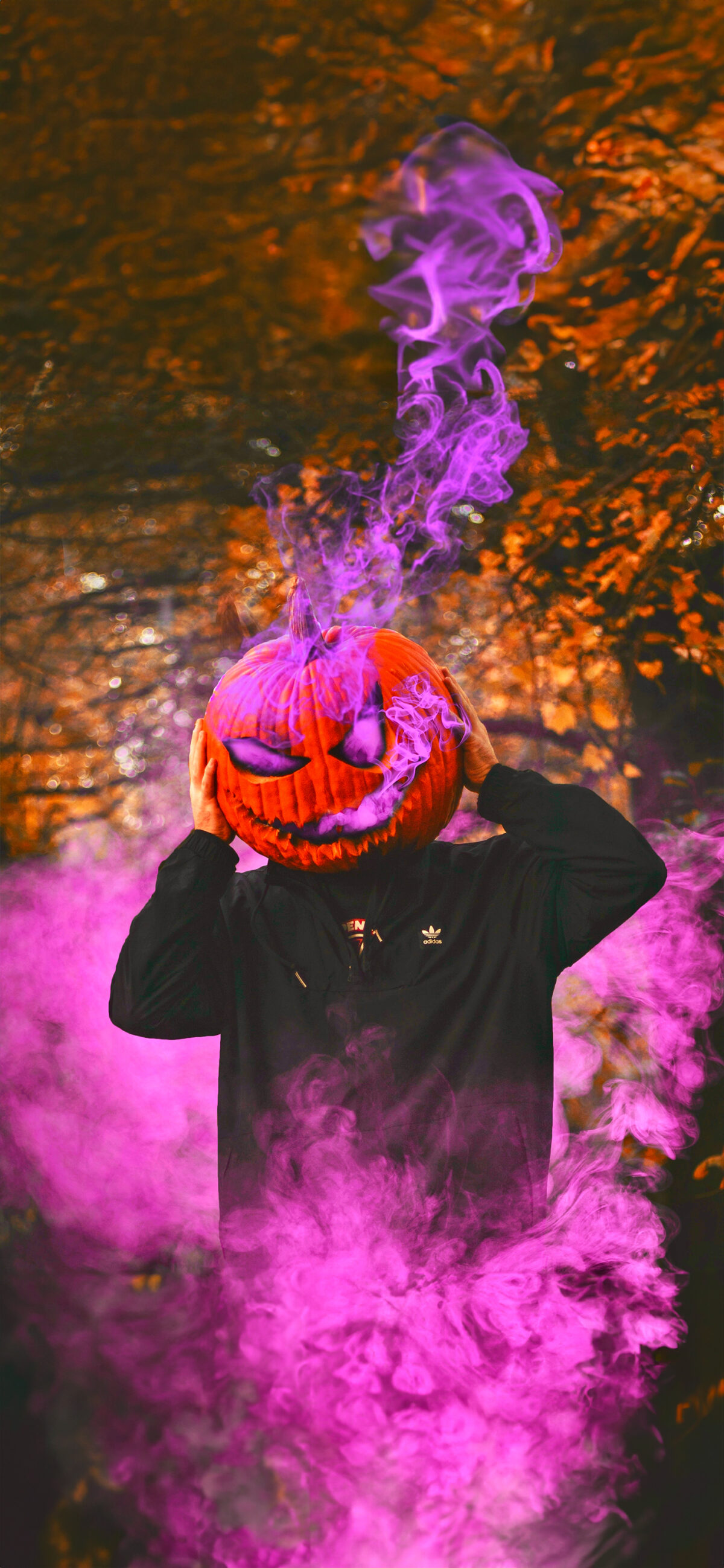 Halloween Head - Wallpapers Central