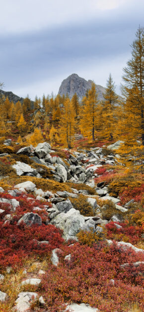 Colori D’autunno