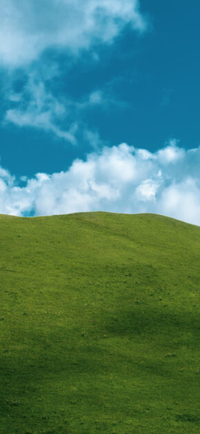 Windows XP in real life