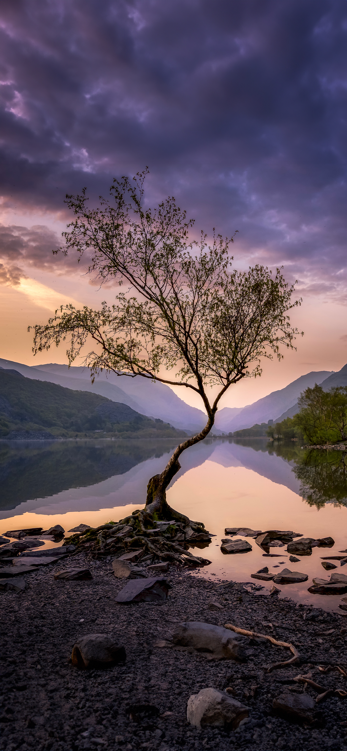 Purple Landscape 8K | Depth Effect - Wallpapers Central, image size:1420x3073