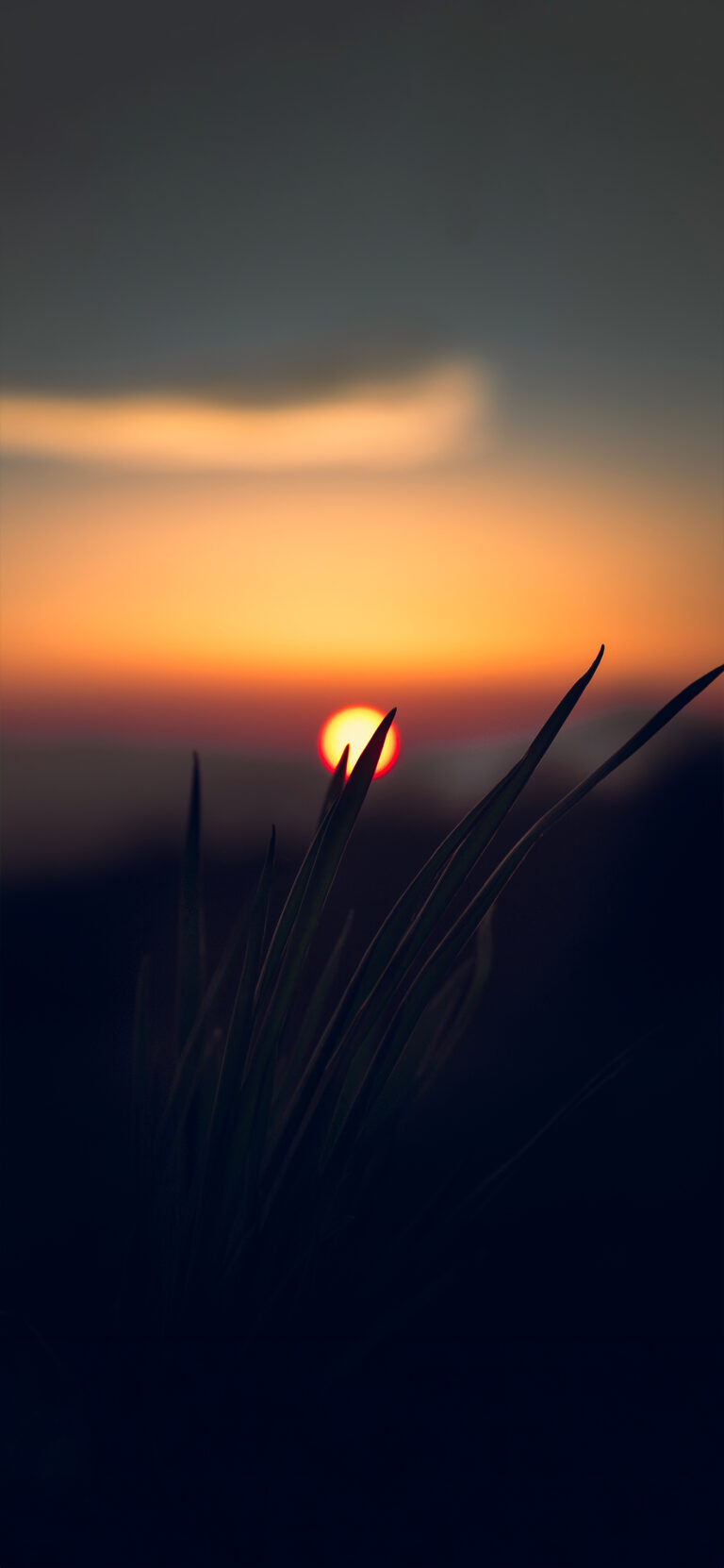 Default wallpaper of Sunset