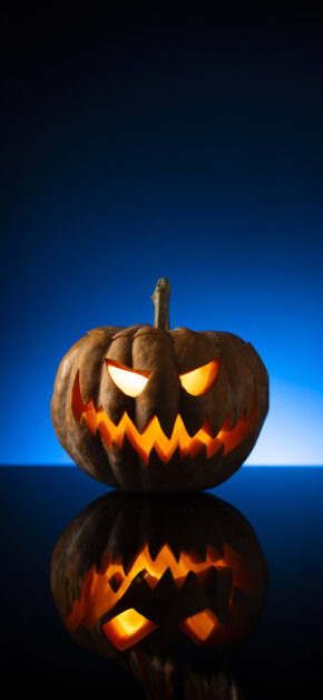 Scary Pumpkin | Halloween
