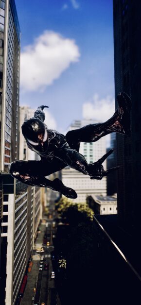 Venom Spider-Man