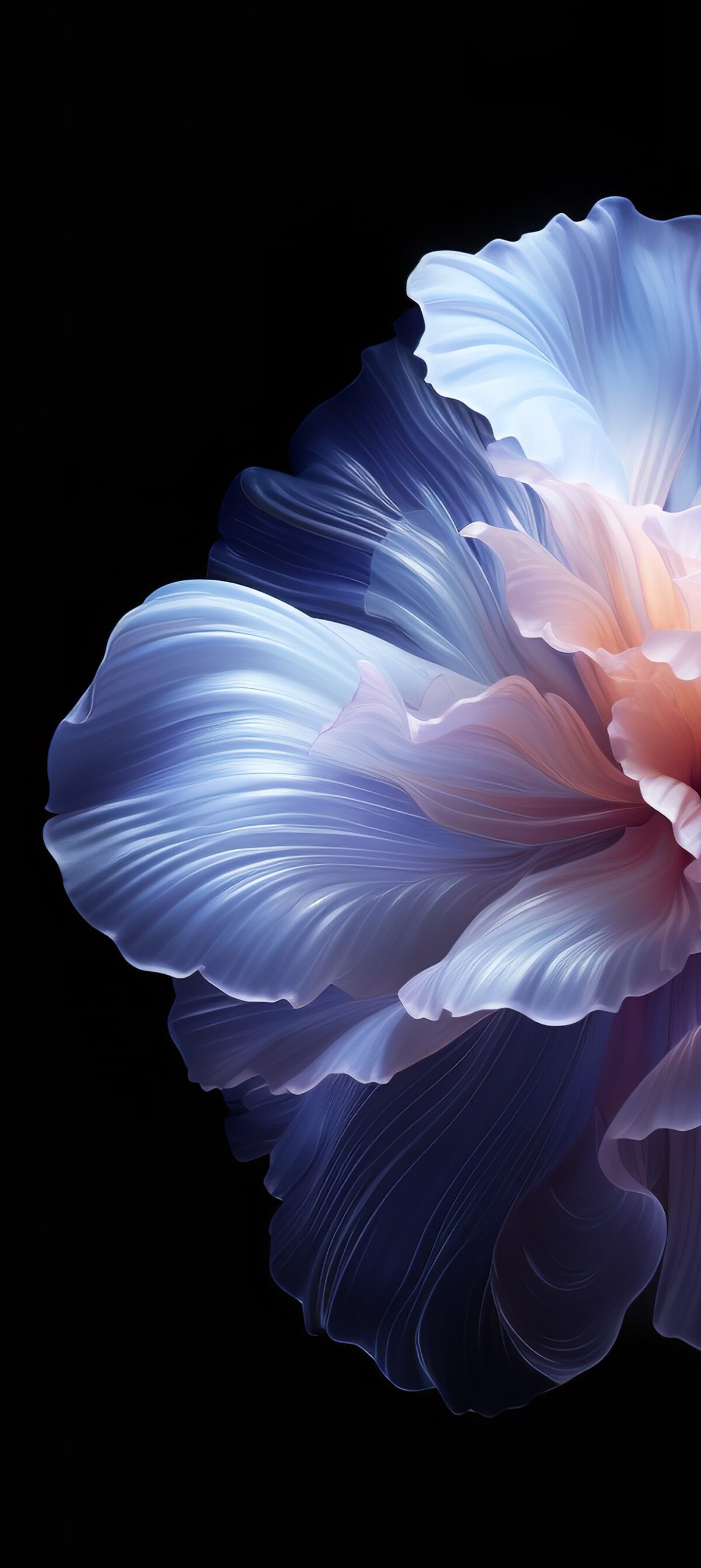 Delicate Flower - Wallpapers Central