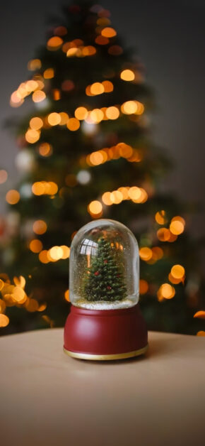 Snow Globe