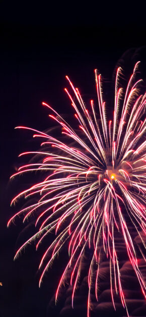 Firework