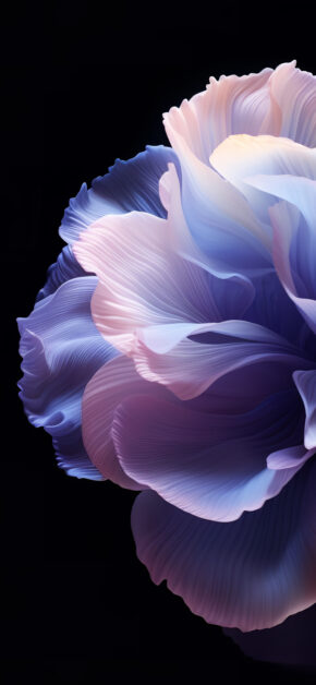OPPO ColorOS 14 Stock Wallpaper 2